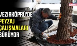 Vezirköprü'de peyzaj çalışmaları sürüyor