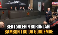 Sektörlerin sorunları Samsun TSO’da gündemde