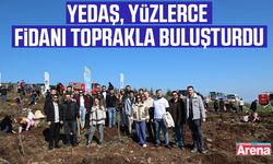 YEDAŞ, yüzlerce fidanı toprakla buluşturdu