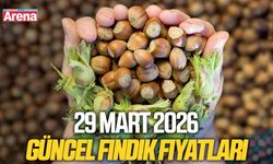 29 Mart 2026 güncel fındık fiyatları açıklandı