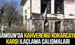 Samsun'da kahverengi kokarcaya karşı ilaçlama çalışmaları