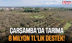 Çarşamba'da tarıma 8 milyon TL'lik destek!