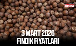 3 Mart 2026 güncel fındık fiyatları
