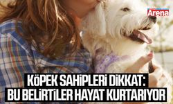 Köpek sahipleri dikkat: Bu belirtiler hayat kurtarıyor