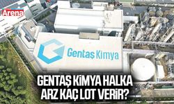 Gentaş Kimya halka arz kaç lot verir?