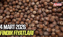4 Mart 2026 güncel fındık fiyatları