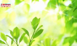 2026 Yeşilay Haftası ne zaman kutlanıyor?