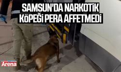 Samsun'da narkotik köpeği Pera affetmedi
