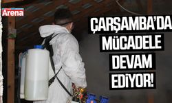 Çarşamba'da 62 bin samuray arısı doğaya salındı