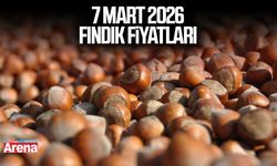 7 Mart 2026 güncel fındık fiyatları