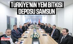 Türkiye'nin yem bitkisi deposu Samsun
