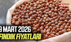 9 Mart 2026 güncel fındık fiyatları