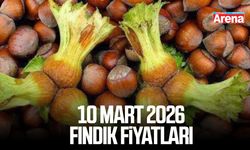 10 Mart 2026 güncel fındık fiyatları