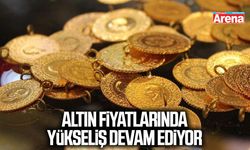 Altın fiyatlarında yükseliş devam ediyor