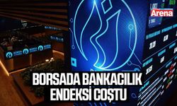 Borsada bankacılık endeksi coştu