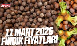 11 Mart 2026 güncel fındık fiyatları