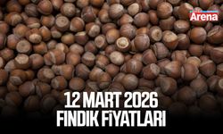 12 Mart 2026 güncel fındık fiyatları
