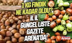 13 Mart 2026 güncel fındık fiyatları