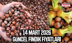 14 Mart 2026 güncel fındık fiyatları