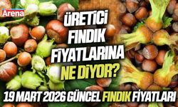 Samsun ve Karadeniz genelinde fındık fiyatları yükselişte