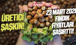 Üretici şaşkın! 23 Mart 2026 fındık fiyatları şaşırttı!