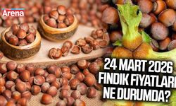 24 Mart 2026 fındık fiyatları ne durumda?