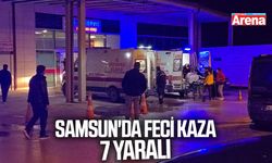 Samsun'da otomobil ormanlık alana yuvarlandı
