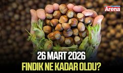 26 Mart 2026 il il güncel fındık fiyatları