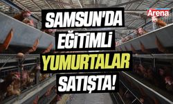 Samsun'da eğitimli yumurtalar satışta!