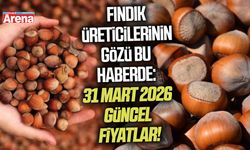 Fındık üreticilerinin gözü bu haberde: 31 Mart 2026 güncel fiyatlar!