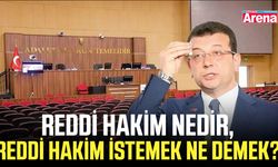 Reddi hakim nedir, reddi hakim istemek ne demek?