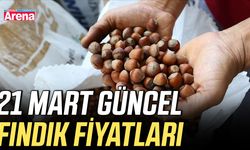 21 Mart güncel fındık fiyatları