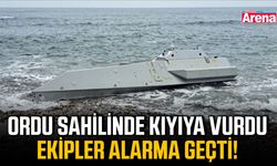 Ordu Sahilinde kıyıya vurdu, ekipler alarma geçti!