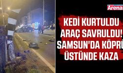 Kedi kurtuldu,araç savruldu! Samsun'da köprü üstünde kaza