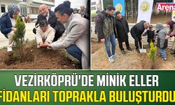 Vezirköprü'de minik eller fidanları toprakla buluşturdu