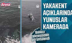 Samsun Yakakent açıklarında yunuslar kameraya yansıdı