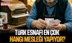 Türk esnafı en çok hangi mesleği yapıyor?