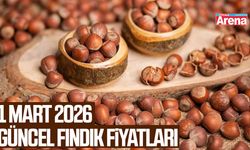1 Mart 2026 güncel fındık fiyatları