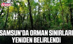 Samsun’da orman sınırları yeniden belirlendi