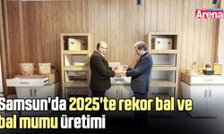 Samsun'da 2025'te rekor bal ve bal mumu üretimi