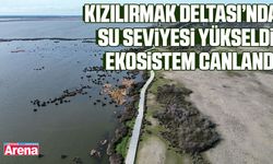 Kızılırmak Deltası’nda su seviyesi yükseldi, ekosistem canlandı