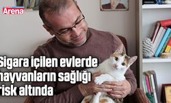 Sigara içilen evlerde hayvanların sağlığı risk altında