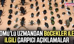 Böcekler ölüm zamanını ortaya çıkarıyor