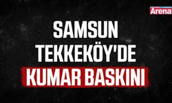 Samsun’da Tekkeköy'de kumar baskını