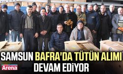Samsun Bafra'da tütün alımı devam ediyor