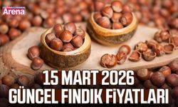 15 Mart 2026 güncel fındık fiyatları