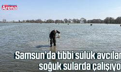 Samsun’da tıbbi sülük avcıları soğuk sularda çalışıyor
