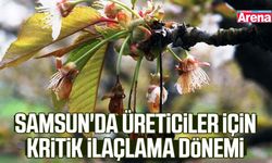 Samsun'da üreticiler için kritik ilaçlama dönemi