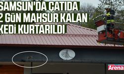 Samsun'da çatıda 2 gün mahsur kalan kedi kurtarıldı