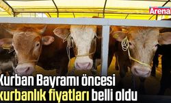 Kurban Bayramı öncesi kurbanlık fiyatları belli oldu
